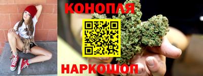 apvp Нальчик