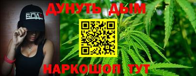 apvp Нальчик