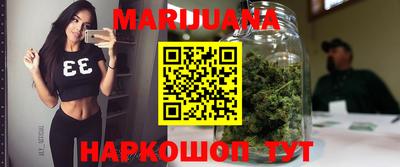 apvp Нальчик