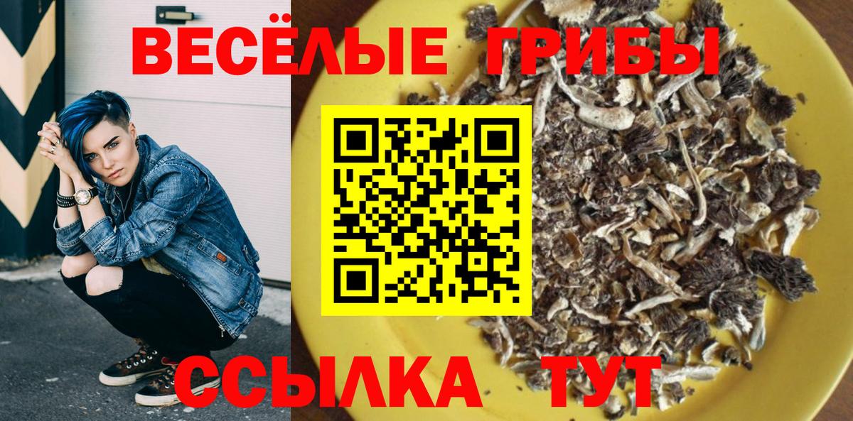 Псилоцибиновые грибы ЛСД Тверь