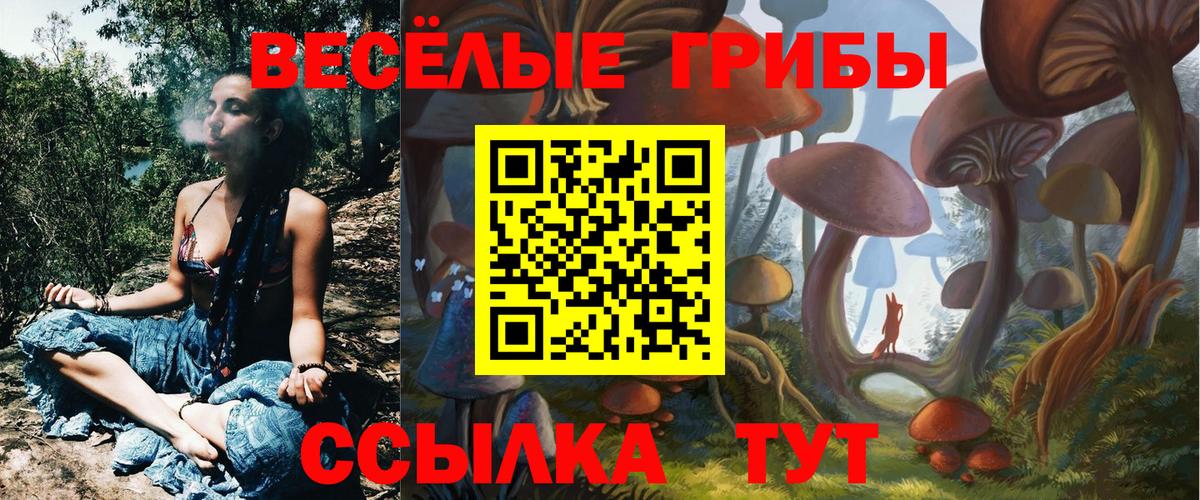 Псилоцибиновые грибы Psilocybine cubensis  Вход с VPN  Тверь 